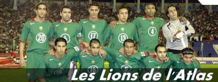 les lions